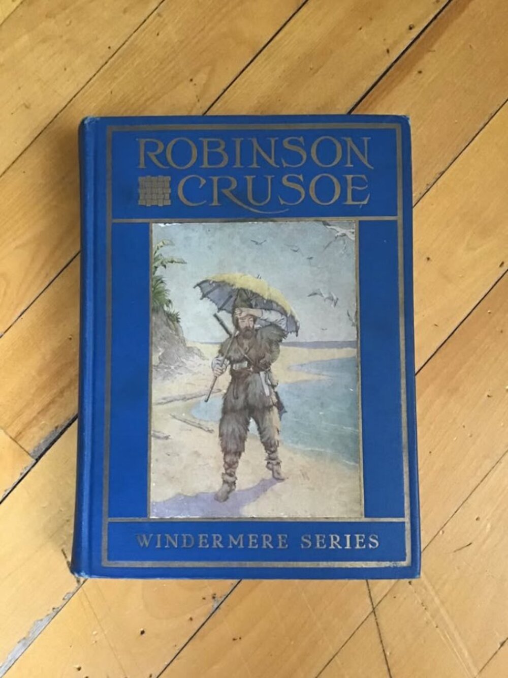 Life and Adventures of Robinson Crusoe (Windermere Series)